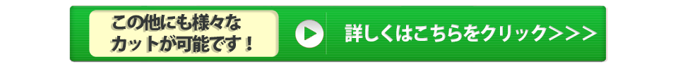 この他にも様々なカットが可能です。詳しくはこちらをクリック
