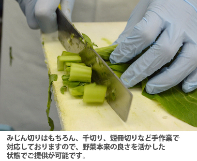 みじん切りはもちろん、千切り、短冊切りなど手作業で対応しておりますので、野菜本来の良さを活かした状態でご提供が可能です,苦みやえぐみが出る野菜はしっかりと殺菌してからお客さまへのご提供をさせていただいております