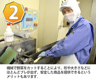 機械で野菜をカットすることにより、形や大きさなどにほとんどブレが出ず、安定した商品を提供できるというメリットもあります
