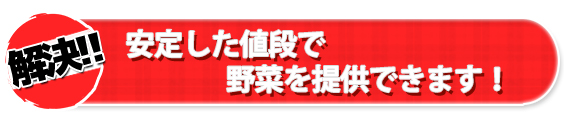 安定した値段で野菜を提供できます