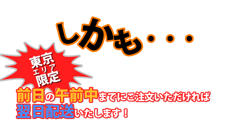 東京エリア限定前日の午前中までにご注文いただければ翌日配送いたします!
