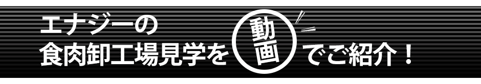 エナジーの 食肉卸工場見学を動画でご紹介！