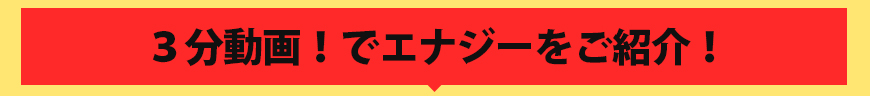 ラーメン店つけ麺店の皆さまへ豚ガラ・鶏ガラ・チャーシューのことは株式会社エナジーにお任せください!