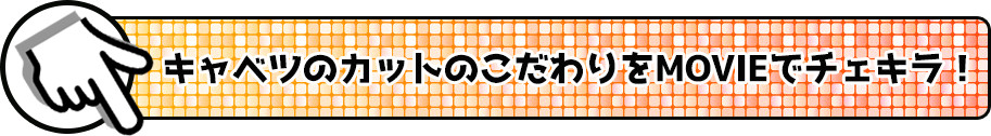 キャベツのカットのこだわりをMOVIEでチェキラ!