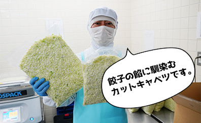 餃子の餡に馴染む
カットキャベツです。