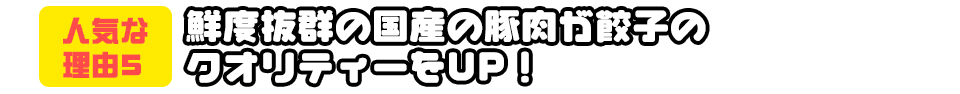 鮮度抜群の国産の豚肉が餃子のクオリティーをUP！