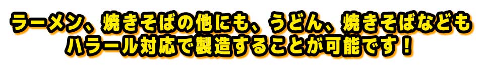 ラーメン、焼きそばの他にも、うどん、焼きそばなどもハラール対応で製造することが可能です!