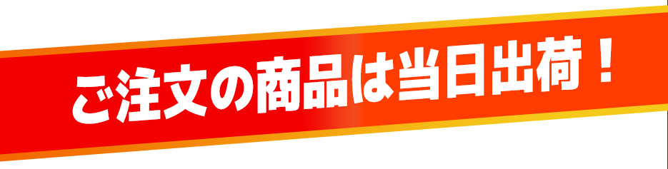 商品のご注文は当日出荷