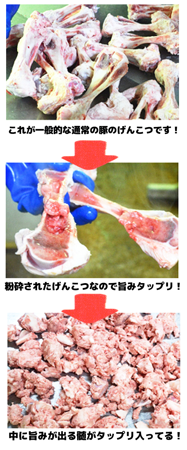 これが一般的な通常の豚のげんこつです!中に旨みが出る髄がタップリ入ってる!粉砕されたげんこつなので旨みタップリ!