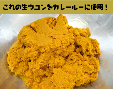 これの生ウコンをカレールーに使用!