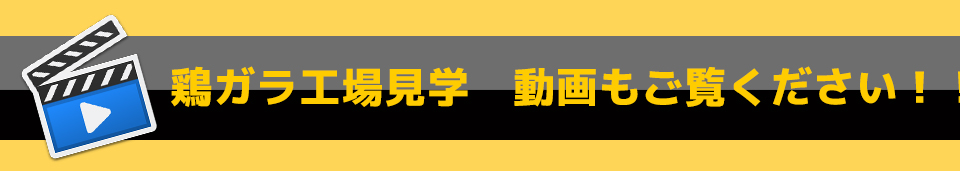 鶏ガラ工場見学 動画もご覧ください!! style=