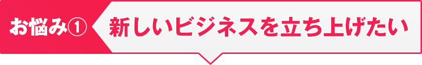 新しいビジネスを立ち上げたい