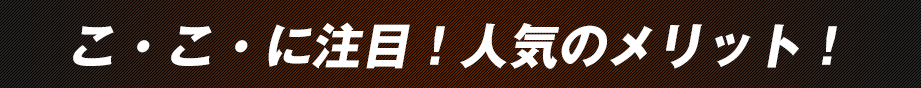 こ・こ・に注目!人気のメリット!