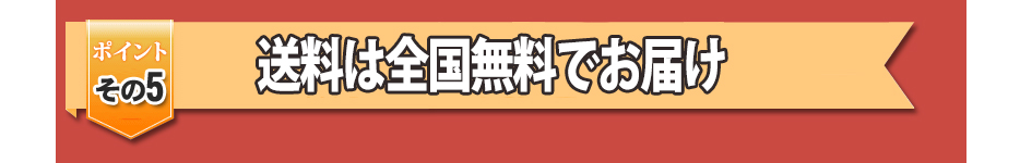 過去の開発実績500~600種類