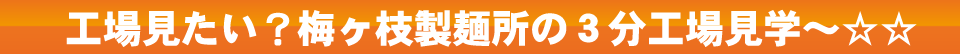 工場みたい?梅ケ枝製麺所の3分工場見学