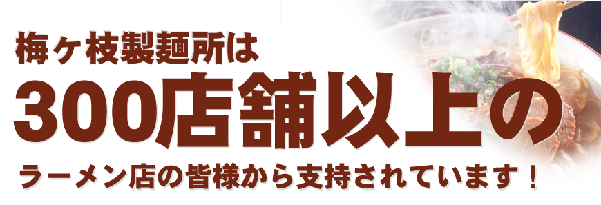 梅ケ枝製麺所は300店舗以上のラーメン店の皆さまから支持されています