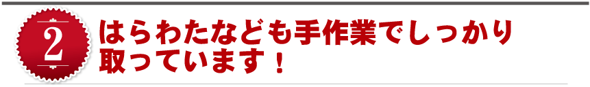 はらわたなども手作業でしっかり取っています