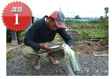 自家製の規格外野菜を有効活用したい！